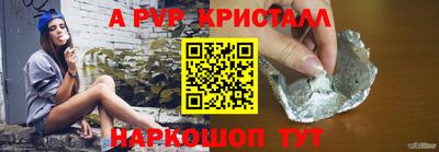 спайс Берёзовский