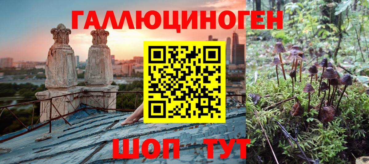 Заинск  Псилоцибиновые грибы Psilocybine cubensis  Вход с VPN 
